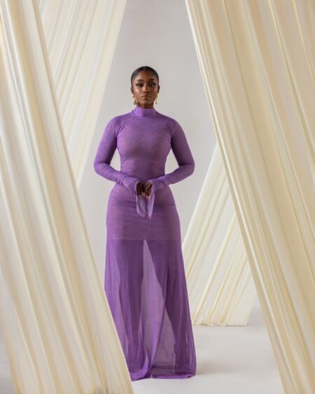 Long sleeve turtle neck mesh dress