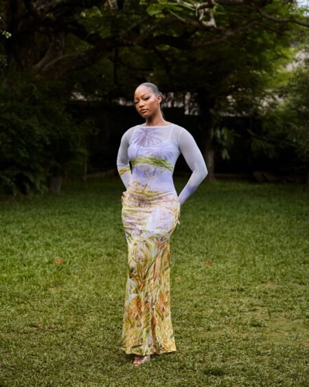 Safari mesh dress
