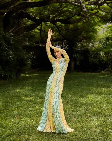 Sydney mixed print mesh dress