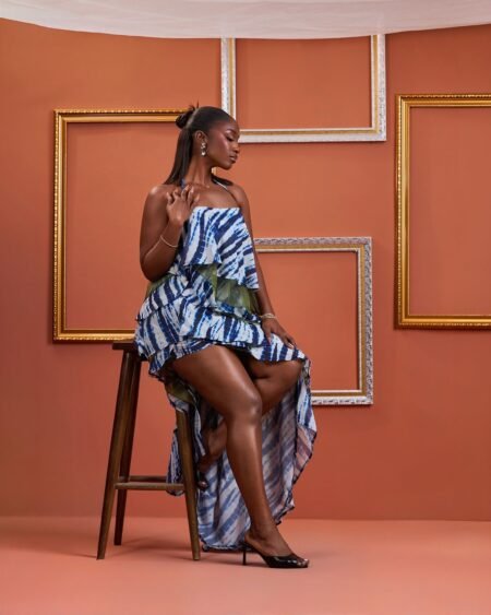 Tolani dress
